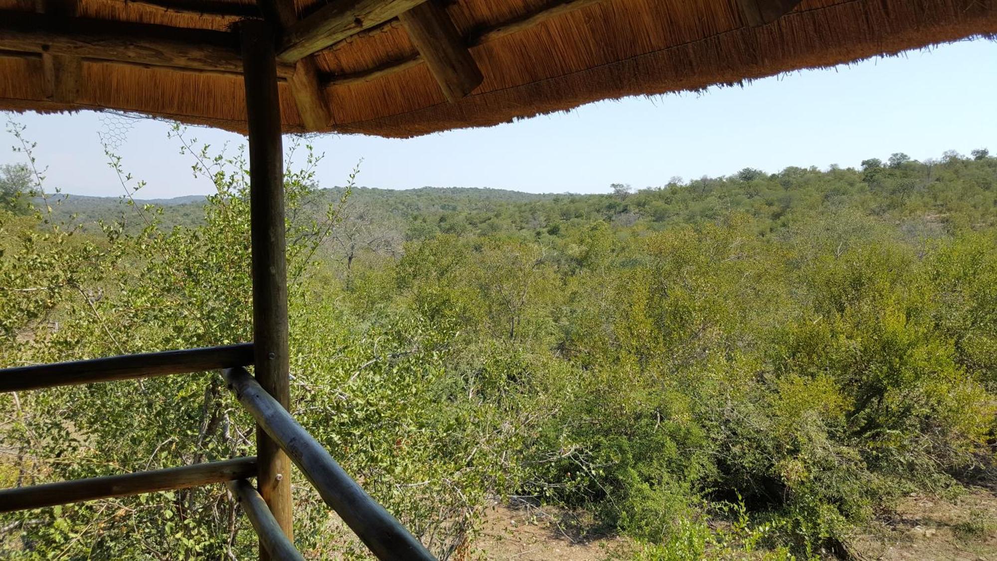 Muweti Bush Lodge Grietjie Game Reserve Phòng bức ảnh